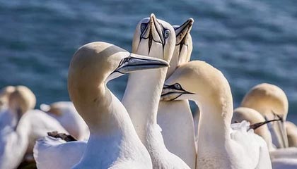 突发!国际油价持续跳水,WTI原油大跌12.96%!美股、黄金、比特币等资产大涨 特朗普称美伊过去两天已进行对话