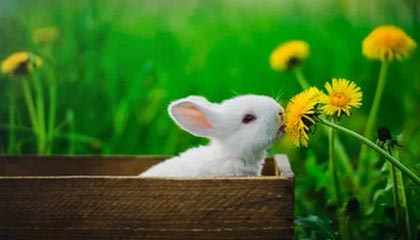 HIVE 将减少其在瑞典 Boden 数据中心的 ASIC 比特币挖矿业务