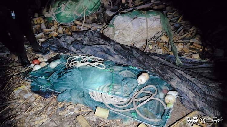 夜晚非法捕捞“水中软黄金”,无人机实时监控,现形!