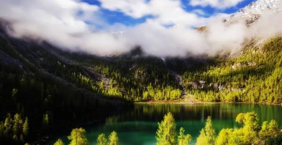 OEXN：实时市场数据与行情更新