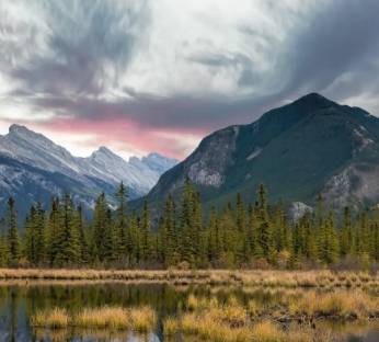 OEXN:实时市场数据与行情更新