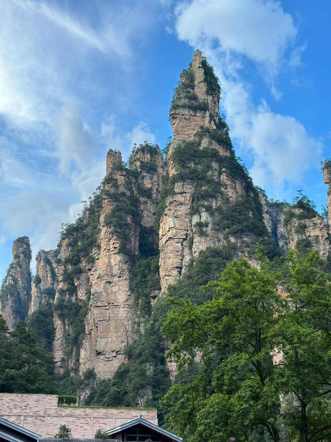 实时！大连到张家界旅游现在多钱，最新行情早知道