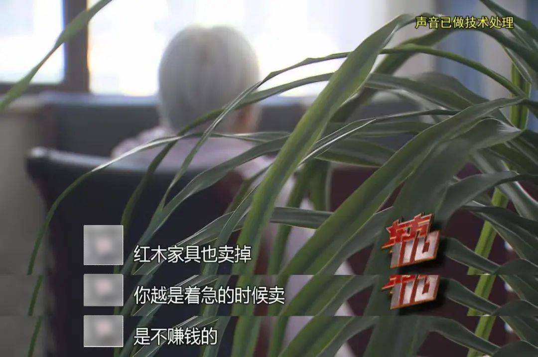 90后“拆二代”败光两套房，彩票中800万元却挥霍一空……