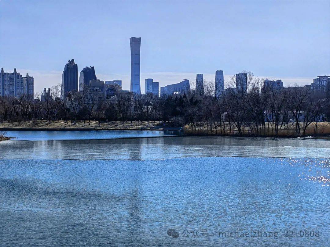 张明 | 数字货币对国际货币体系的冲击