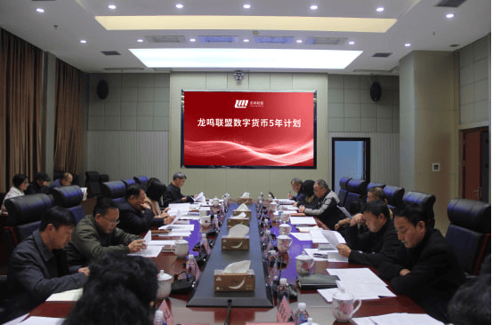 龙鸣联盟数字货币5年计划