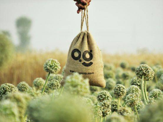 上海农产品采购与交易App开发,助力农业数字化转型