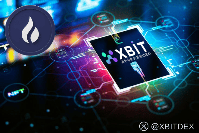 交易所app排行榜领军者XBIT隐私合规优势引领数字货币新潮流