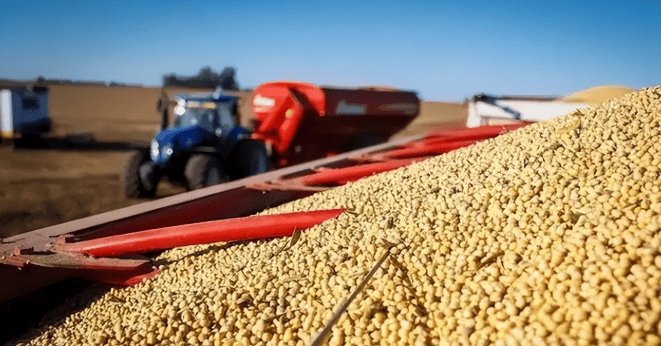 罕见一幕!印度为啥破天荒大量进口中国豆油?莫迪想要跟着美国跑,但是却离不开中国!