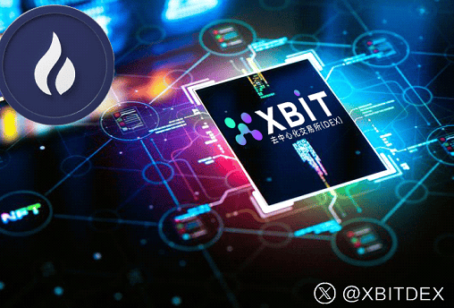 币圈交易所热议XBIT平台重塑安全交易新标杆