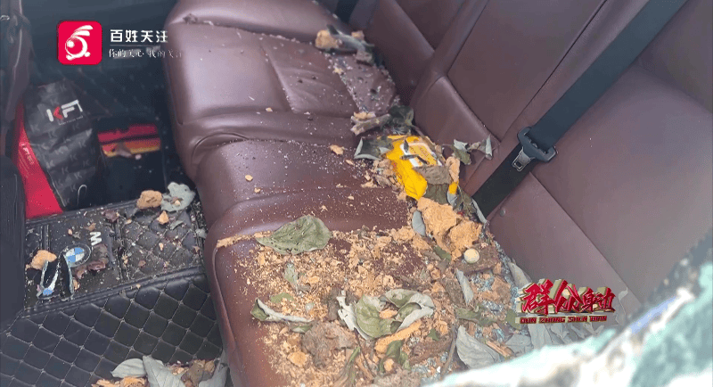 贵阳一700年古树砸扁“宝马”,现场惨不忍睹,林业局:车主他也有错