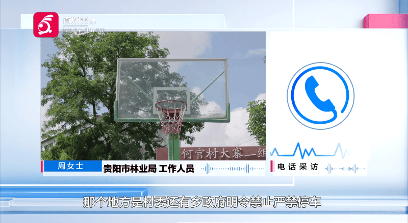 贵阳一700年古树砸扁“宝马”,现场惨不忍睹,林业局:车主他也有错