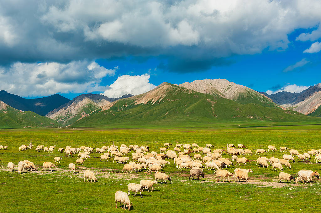 喜马拉雅山烟花秀风波，审批是否合规才是重点