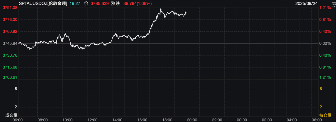 见证历史!金价,再猛拉!