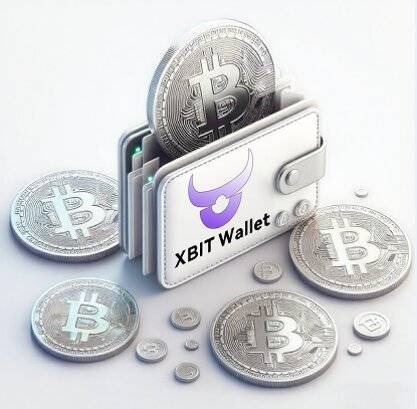BNB钱包与去中心化金融 XBIT Wallet保护你的币安币资产