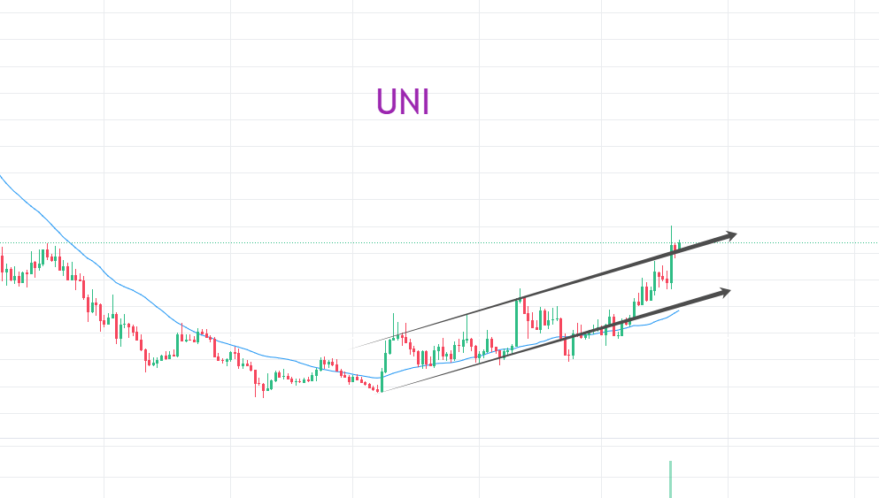 以太坊冲击3700，山寨币群魔乱舞
